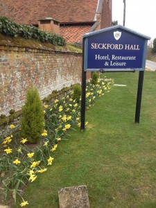 Daffodils everywhere at Seckford Hall Hotel 2