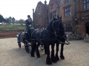 Horse-and-Carriage-at-Seckford-003-300x225