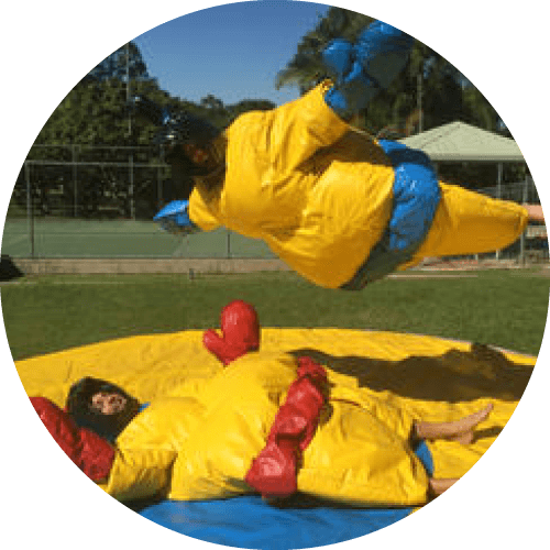 Sumo Wrestling Group Activity