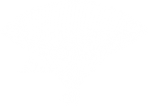 Weddings illustration blimp 2