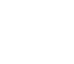 Winter Escape illustration butterfly 1