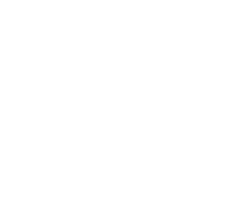 Christmas illustration butterfly 1