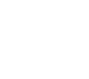 Winter Weddings illustration stag 2