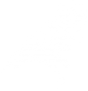 Weddings Owl 2
