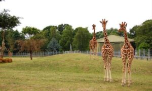 Autumn offers at Seckford Hall e23bc4a3 cc32 40ae aa66 688df621fee3 (2) 5