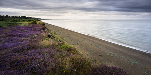 Best locations for an engagement photoshoot in Suffolk b328df3d b47c 7190b5eabec0 3