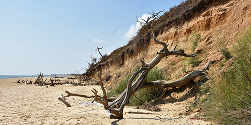 Best locations for an engagement photoshoot in Suffolk f126666f 94ee 4fc5 b9fa eb7120c71888 2